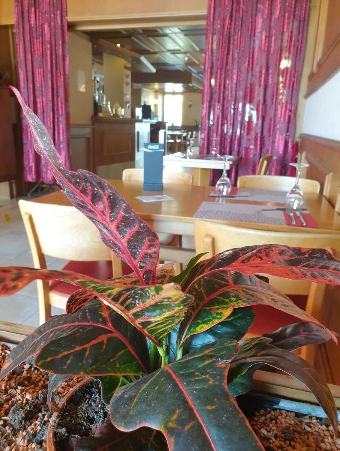 Hotel Lion D'Or Romont Екстер'єр фото
